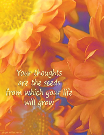 thought seeds poem